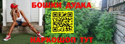 сатива Краснокаменск