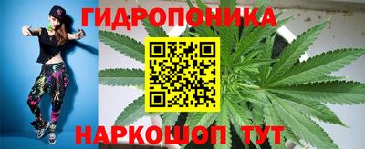 сатива Краснокаменск